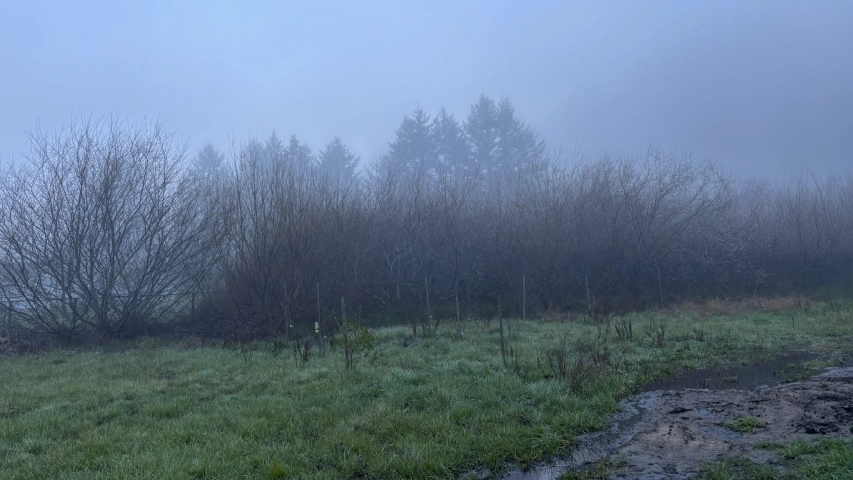 present nowhere