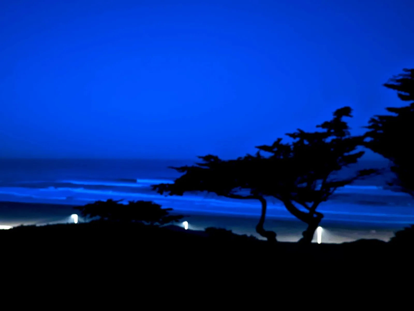 Ocean Beach before dawn, cypress trees silhouetted against deep blue surf